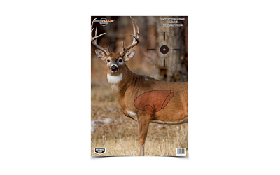 B/c Pregame Deer Tgt 3-16.5x24 โ B/c Pregame Deer Tgt 3-16.5x24