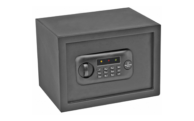 Bulldog Digital Vault Med W/ Shelf