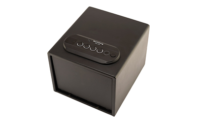 Bulldog Pstl Vault 11x8x5 Dbl Bio