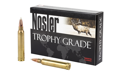 Nosler 300win 180gr Ab 20