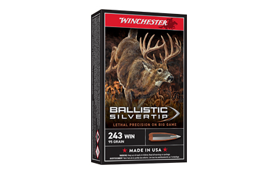 Win Blstc Tip 243win 95gr 20 โ Win Blstc Tip 243win 95gr 20